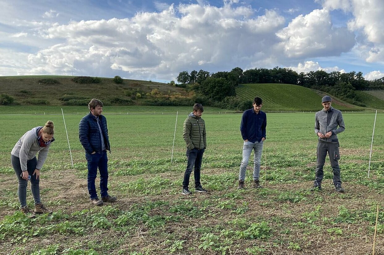 Gruppe von Landwirten auf Ackerfläche